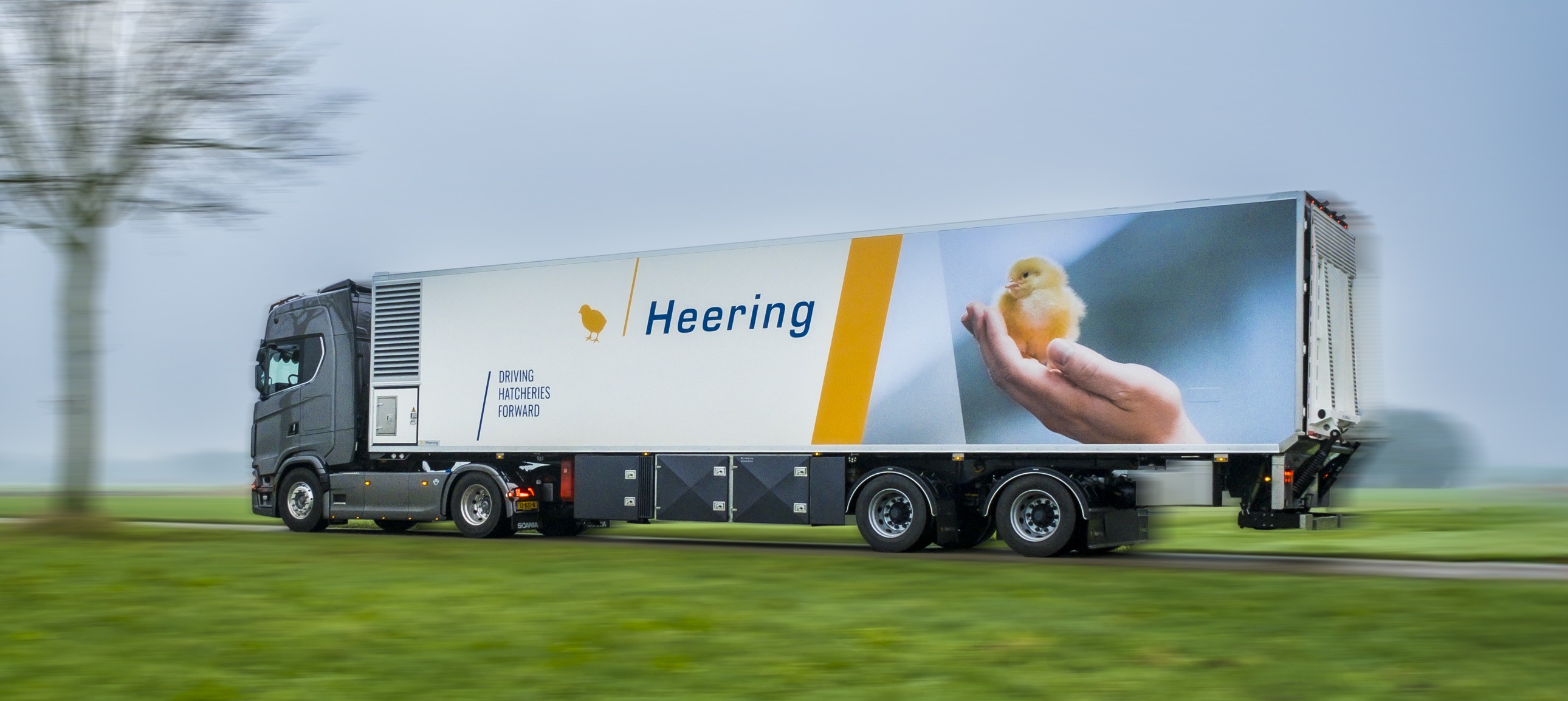 Heering-trailer met eendagskuiken op de belettering, onderweg op de snelweg